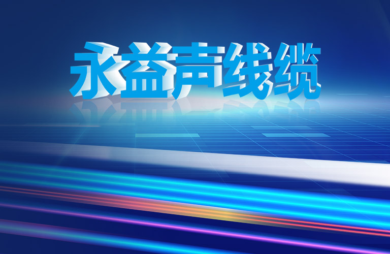 公司简介